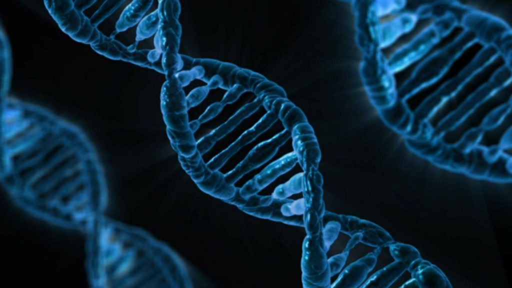 New Genetic Causes of Male Infertility Discovered